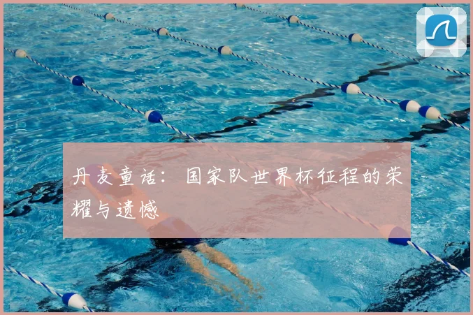 丹麦童话：国家队世界杯征程的荣耀与遗憾