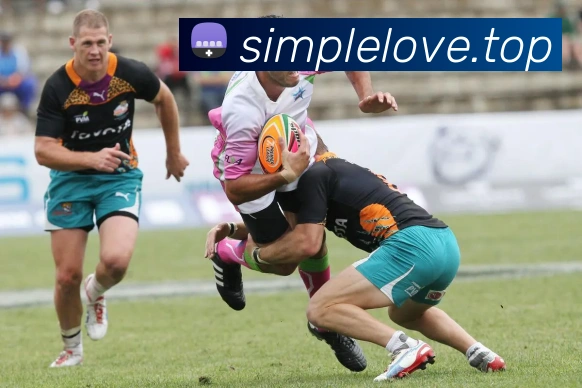 欧宝官网注册APP 高清赛事图